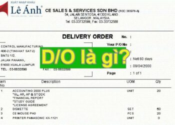 Delivery order lệnh giao hàng