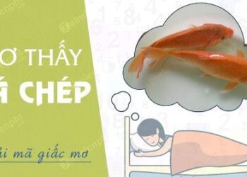 Mơ thấy cá chép đánh con gì