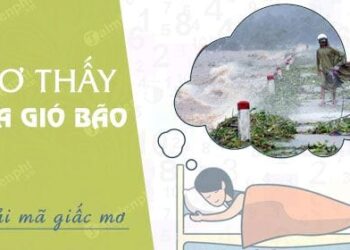 Mơ thấy gió bão đánh con gì