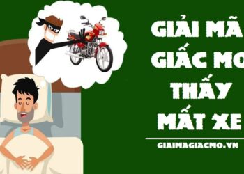 Mơ thấy mất xe máy đánh con gì