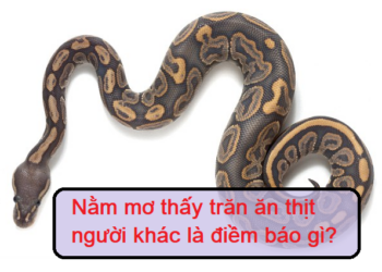 Mơ thấy trăn ăn thịt người