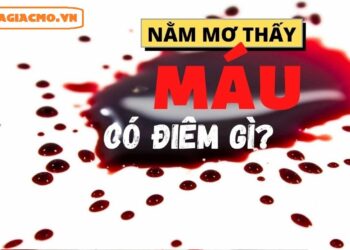 Nằm mơ thấy đi tiểu ra máu