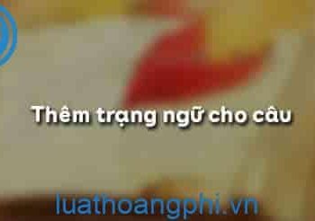 Trạng ngữ đứng ở vị trí nào trong câu